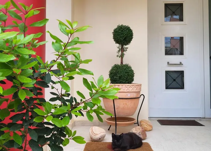 Vivere Terrace Seaside Kalamata Apartman